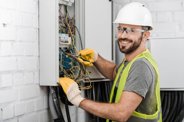 Best Electric Panel Repair  in Ida Grove, IA