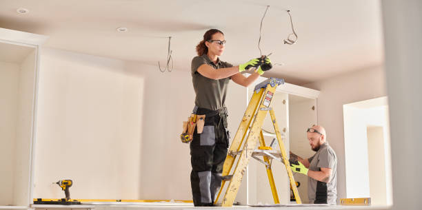 Best Electric Panel Repair  in Ida Grove, IA