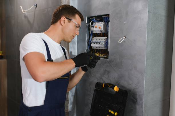 Best Ceiling Fan Installation Electrician  in Ida Grove, IA
