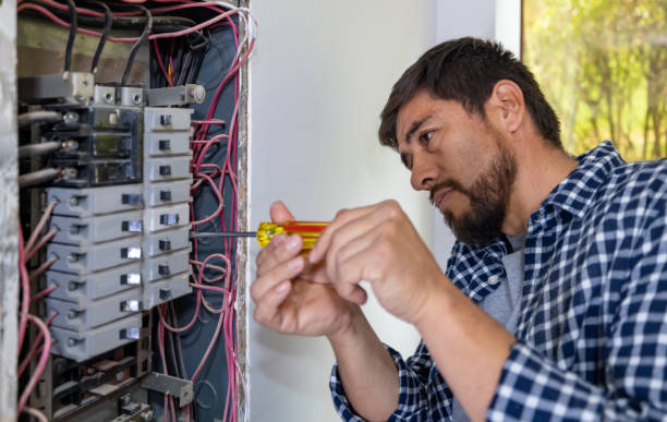 Best Electrical Repair Services  in Ida Grove, IA